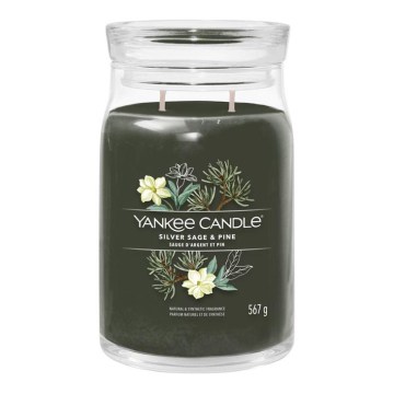 Yankee Candle - Mirisna svijeća SILVER SAGE & PINE velika 567 g 60-90 sati