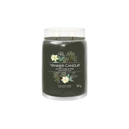 Yankee Candle - Mirisna svijeća SILVER SAGE & PINE velika 567 g 60-90 sati