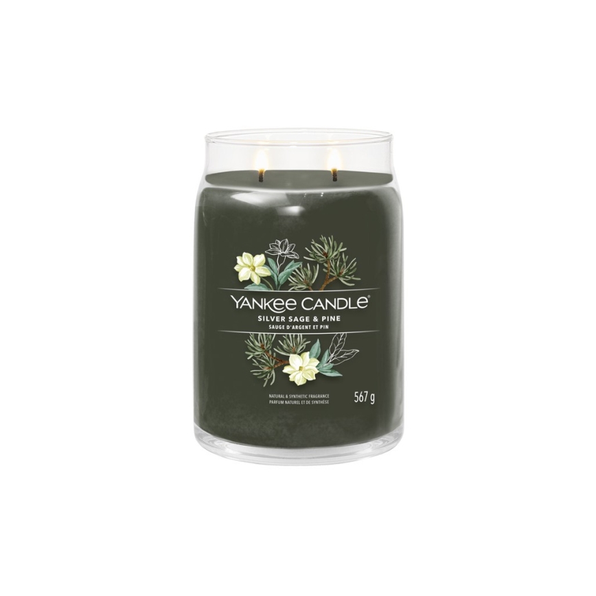 Yankee Candle - Mirisna svijeća SILVER SAGE & PINE velika 567 g 60-90 sati
