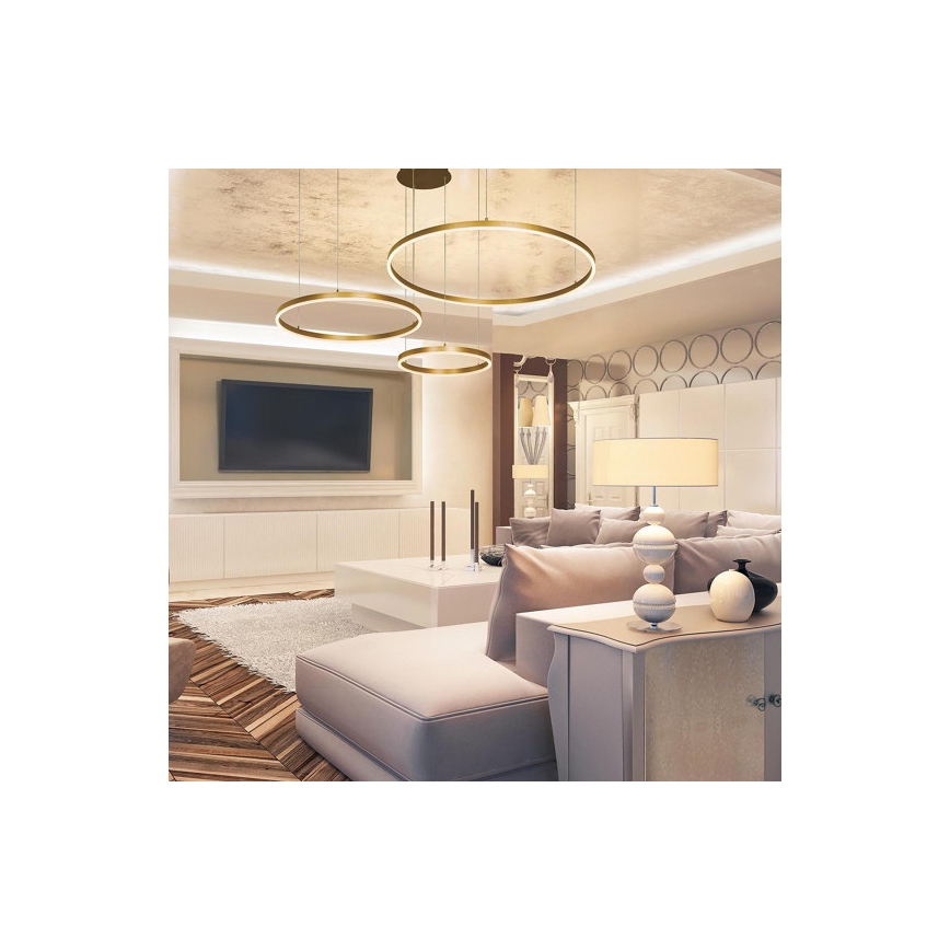 Zambelis 1956 - LED Luster na sajli LED/136W/230V zlatna