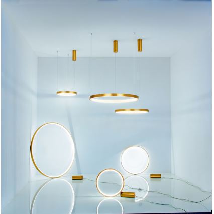 Zambelis 2007 - LED Prigušivi luster na sajli LED/50W/230V zlatna