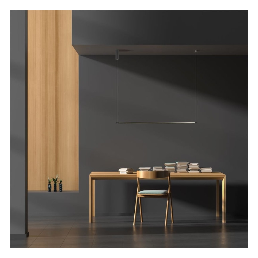 Zambelis 20119 - LED Luster na sajli LED/20W/230V crna