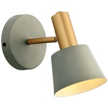 Zambelis 20219 - Zidna reflektorska svjetiljka 1xE14/25W/230V siva
