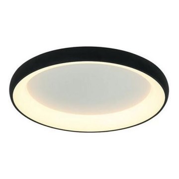 Zambelis 2040 - LED stropna svjetiljka s prigušivanjem LED/30W/230V promjer 40 cm crna