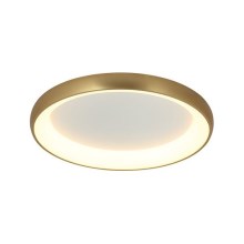 Zambelis 2042 - LED Prigušiva stropna svjetiljka LED/30W/230V pr. 40 cm zlatna
