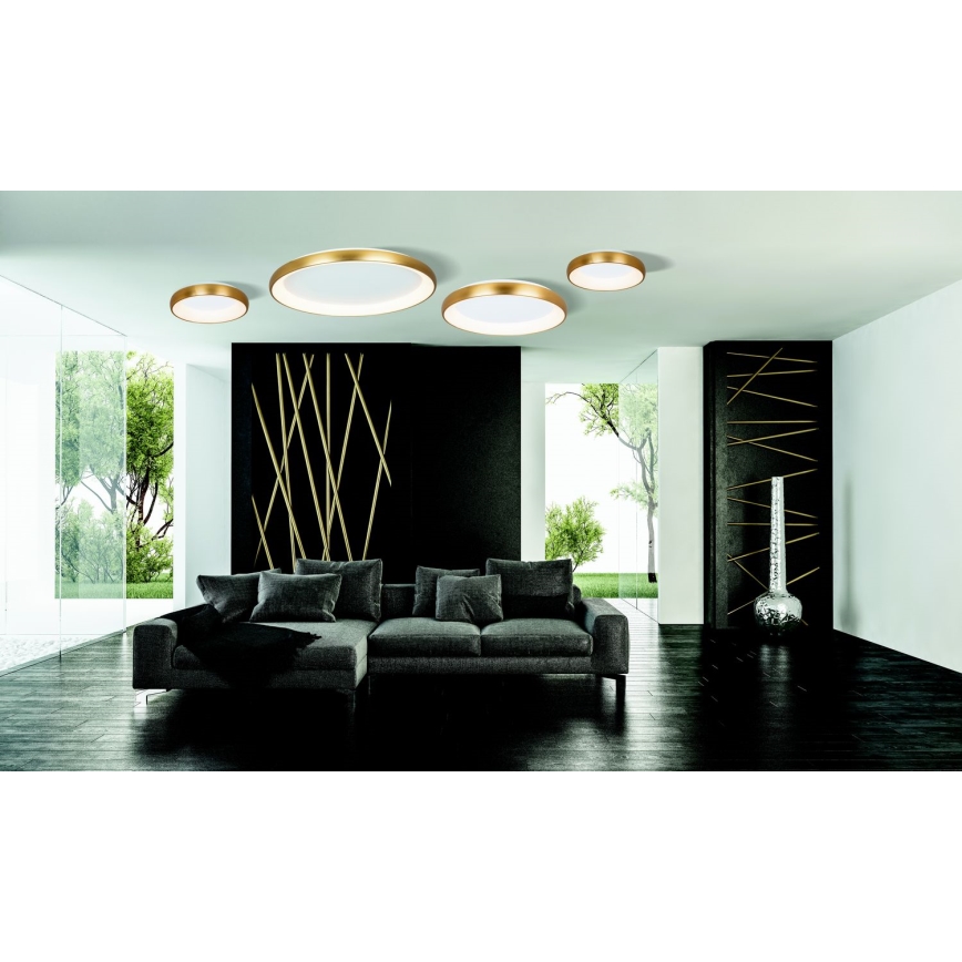Zambelis 2042 - LED Prigušiva stropna svjetiljka LED/30W/230V pr. 40 cm zlatna