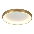 Zambelis 2042 - LED stropna svjetiljka s prigušivanjem LED/30W/230V promjer 40 cm zlatna