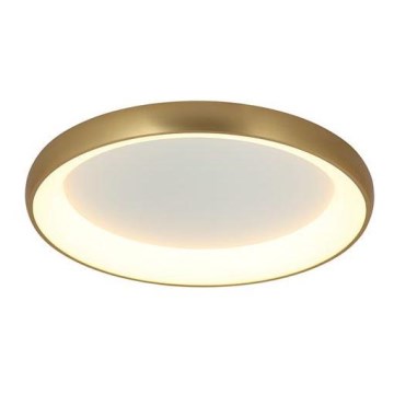 Zambelis 2042 - LED stropna svjetiljka s prigušivanjem LED/30W/230V promjer 40 cm zlatna