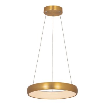 Zambelis 2046 - LED luster s prigušivanjem na užetu LED/30W/230V promjer 40 cm zlatna