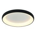 Zambelis 2048 - LED stropna svjetiljka s prigušivanjem LED/50W/230V promjer 60 cm crna