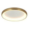 Zambelis 2050 - LED stropna svjetiljka s mogućnošću prigušivanja LED/50W/230V promjer 60 cm zlatna