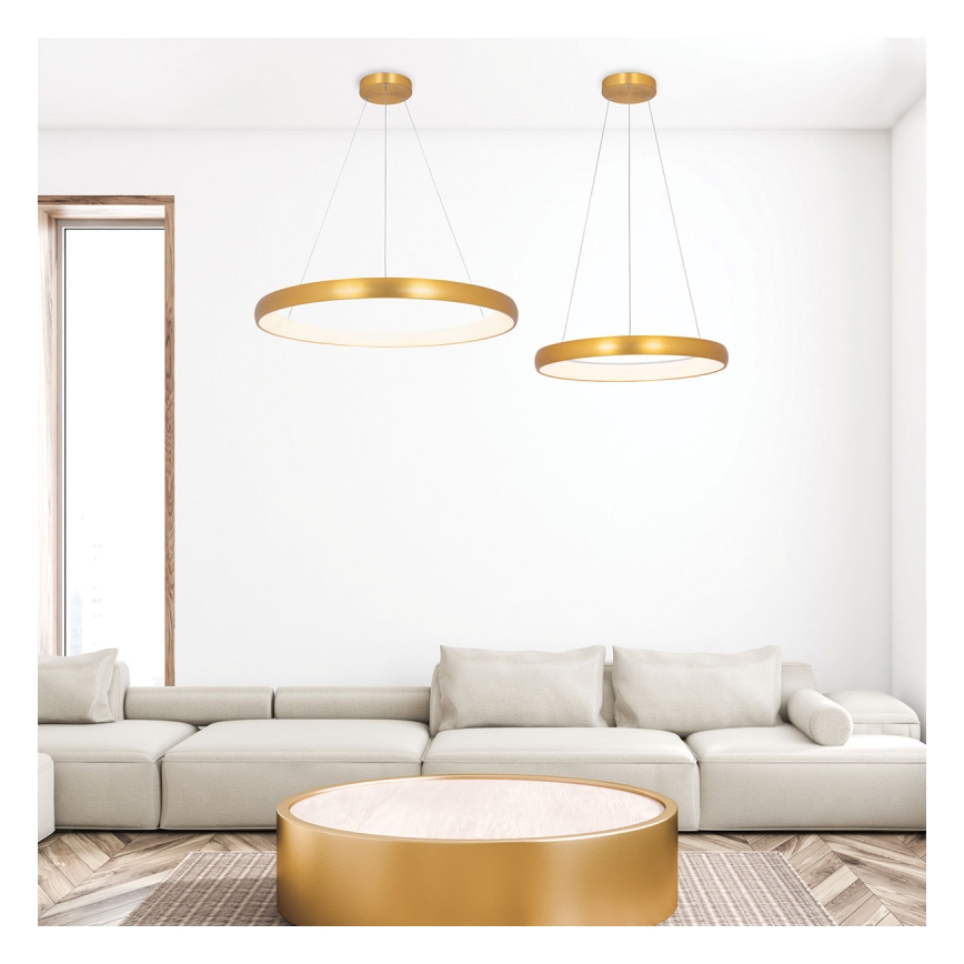 Zambelis 2054 - LED Prigušivi luster na sajli LED/50W/230V pr. 60 cm zlatna