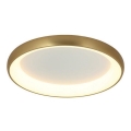 Zambelis 2058 - LED stropna svjetiljka s mogućnošću prigušivanja LED/60W/230V promjer 80 cm zlatna