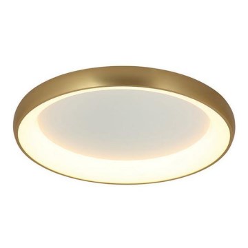 Zambelis 2058 - LED stropna svjetiljka s mogućnošću prigušivanja LED/60W/230V promjer 80 cm zlatna
