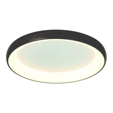 Zambelis 2059 - LED stropna svjetiljka s mogućnošću prigušivanja LED/60W/230V promjer 80 cm smeđa