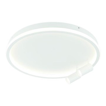 Zambelis 22015 - LED stropna svjetiljka s mogućnošću prigušivanja LED/71W/230V bijela