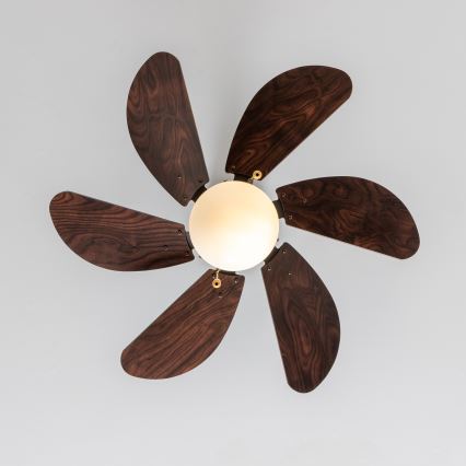 ZEVENTI - Stropni ventilator FAMARA 1xE14/60W/230V