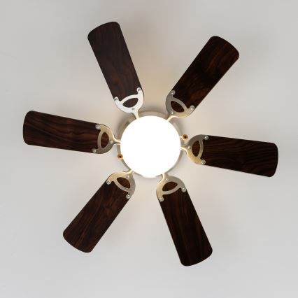 ZEVENTI - Stropni ventilator GALDANA 1xE27/60W/230V smeđa/bež