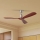 ZEVENTI - Stropni ventilator LIONI Wi-Fi Tuya mat krom/hrast + daljinski upravljač