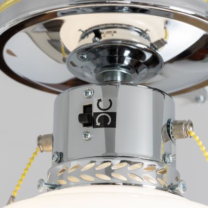 ZEVENTI - Stropni ventilator NAVAGIO 1xE27/60W/230V crna/bijela