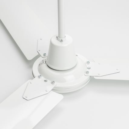 ZEVENTI - Stropni ventilator TOFINO bijela