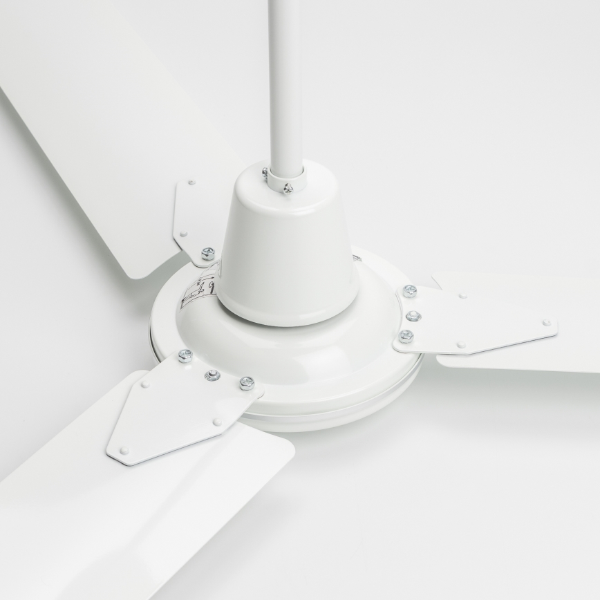 ZEVENTI - Stropni ventilator TOFINO bijela