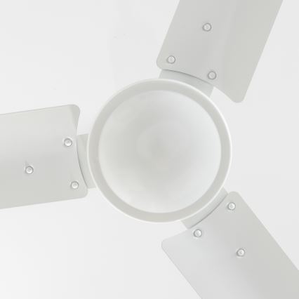 ZEVENTI - Stropni ventilator TOFINO bijela