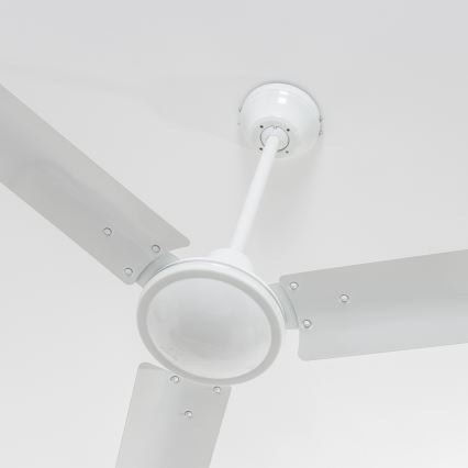 ZEVENTI - Stropni ventilator TOFINO bijela