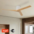 ZEVENTI - Stropni ventilator VELLON Wi-Fi Tuya bijela/paulovnija + daljinski upravljač