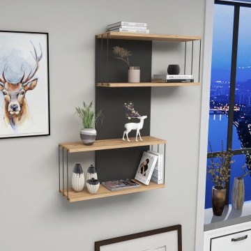 Zidna polica DESTAN 65x96x19 cm antracit/smeđa