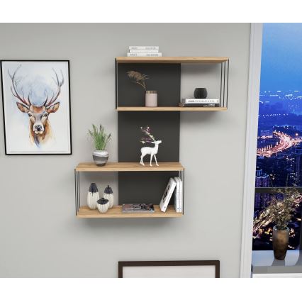 Zidna polica DESTAN 65x96x19 cm antracit/smeđa