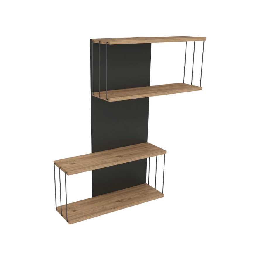 Zidna polica DESTAN 65x96x19 cm antracit/smeđa