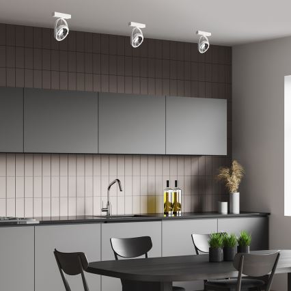 Zidna reflektorska svjetiljka LUGAR 1xAR111 - GU10/25W/230V