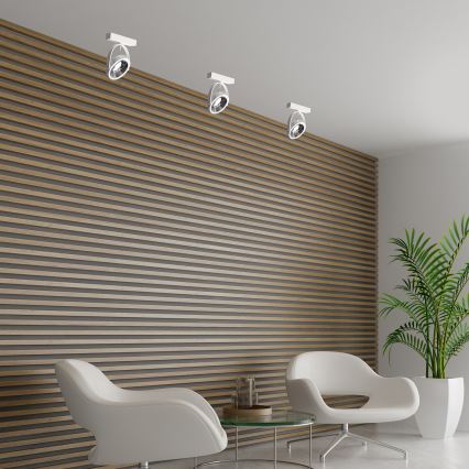 Zidna reflektorska svjetiljka LUGAR 1xAR111 - GU10/25W/230V