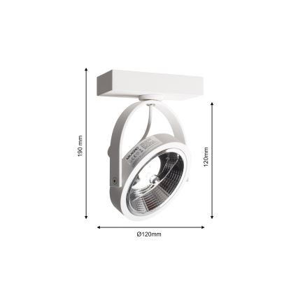 Zidna reflektorska svjetiljka LUGAR 1xAR111 - GU10/25W/230V
