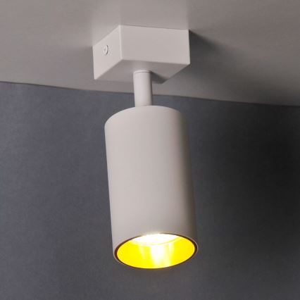 Zidna reflektorska svjetiljka MARIBEL 1xGU10/10W/230V bijela