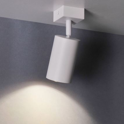 Zidna reflektorska svjetiljka MARIBEL 1xGU10/10W/230V bijela