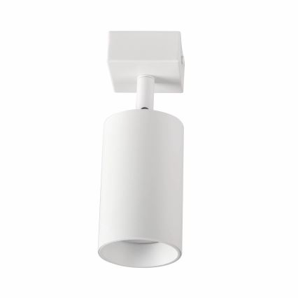 Zidna reflektorska svjetiljka MARIBEL 1xGU10/10W/230V bijela
