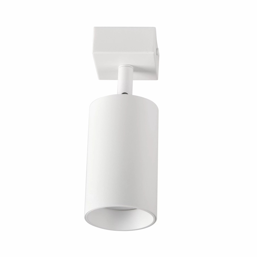 Zidna reflektorska svjetiljka MARIBEL 1xGU10/10W/230V bijela