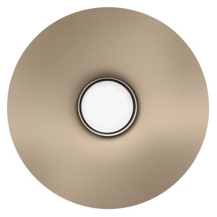 Zidna svjetiljka CAPITAL 1xGX53/15W/230V taupe