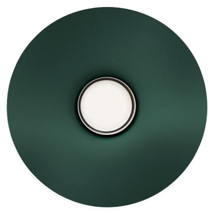 Zidna svjetiljka CAPITAL 1xGX53/15W/230V zelena