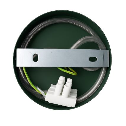 Zidna svjetiljka CAPITAL 1xGX53/15W/230V zelena