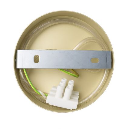 Zidna svjetiljka CAPITAL 1xGX53/15W/230V zlatna