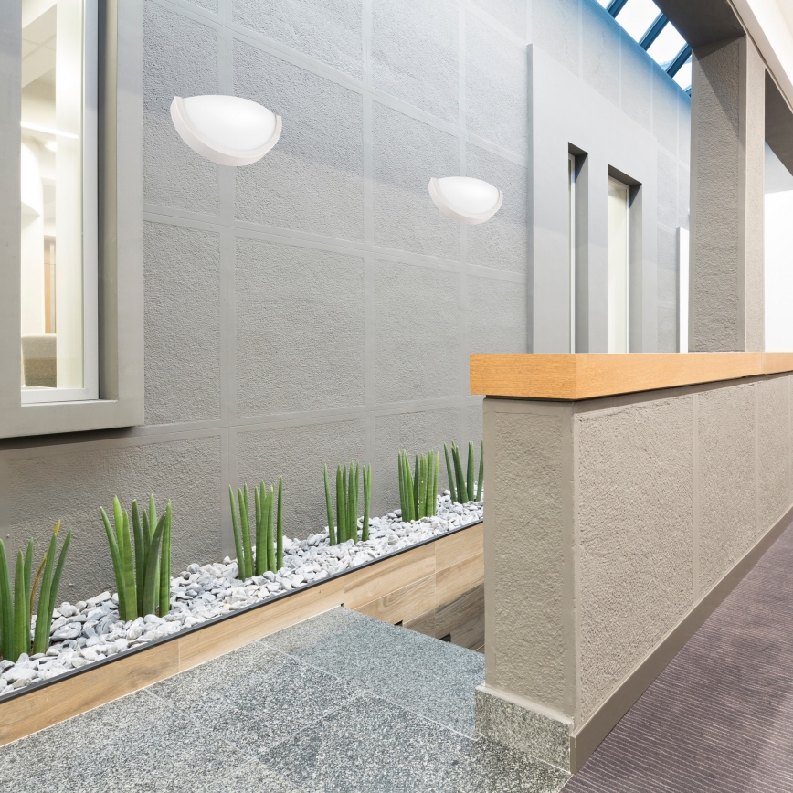 Zidna svjetiljka NATURAL SLIM 1xE27/60W/230V bor/bijela