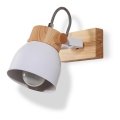 Zidna točkasta svjetiljka VIANA 1xE27/60W/230V
