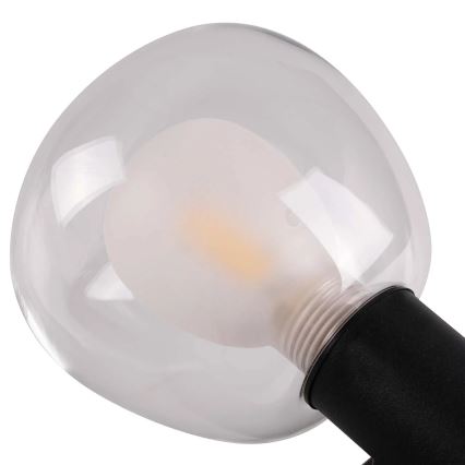 Zidno svjetlo za kupaonicu POLA 2xG9/5W/230V IP44 crno/prozirno