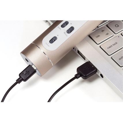 Zlatni karaoke mikrofon 6W/5V 1500 mAh Bluetooth