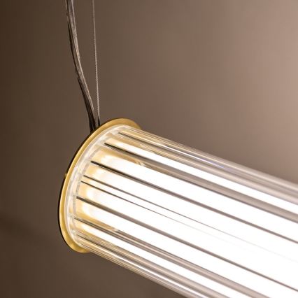 Zuma Line - LED luster na sajli s mogućnošću prigušivanja LED/39W/230V 2700-6500K zlatna + daljinski upravljač