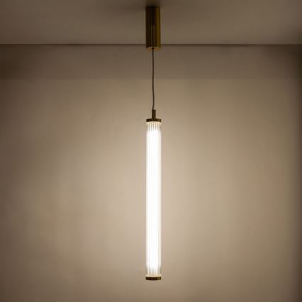 Zuma Line - LED luster na sajli s mogućnošću prigušivanja LED/26W/230V 2700-6500K zlatna + daljinski upravljač