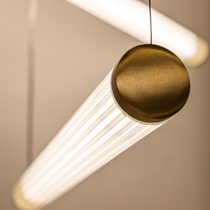 Zuma Line - LED luster na sajli s mogućnošću prigušivanja LED/64W/230V 2700-6500K zlatna + daljinski upravljač
